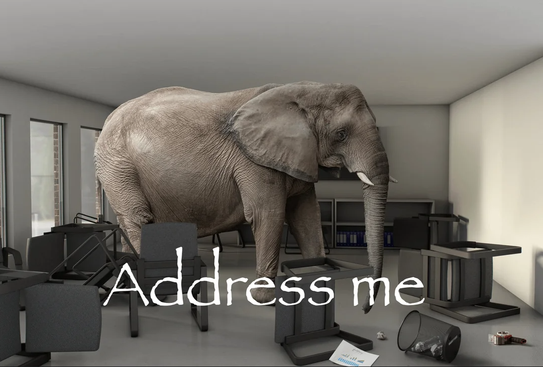 elephant